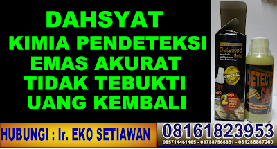 ALAT PENDETEKSI EMAS BANDUNG SURABAYA