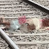 युवती ने ट्रेन के आगे कूदकर की आत्महत्या, किशोरी बची -- Ghazipur News