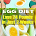 Egg Diet Lose 24 Pounds In Just 2 Weeks
