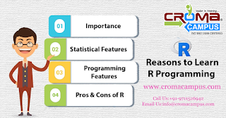 R Programming Training Institute in Delhi