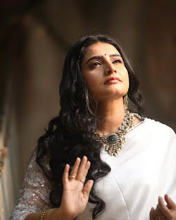 Actress Sujitha Dhanush Elegant Looks in saree Pics