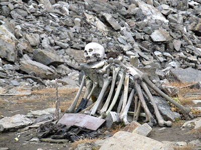 roopkund lake mystery,roopkund lake,mystery lake,skeleton lake