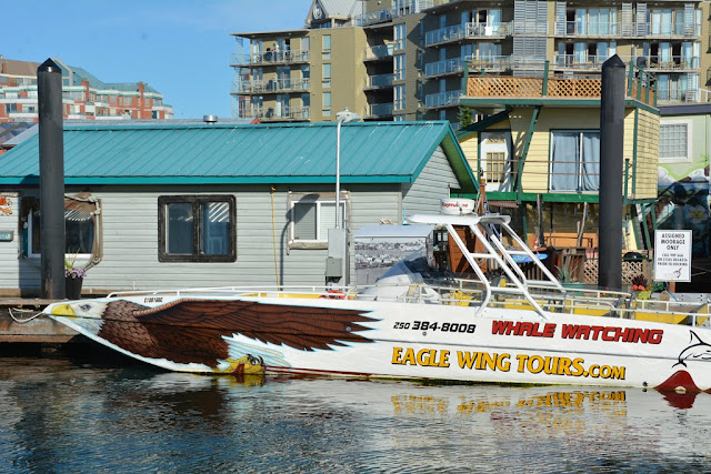 Fishermans Wharf Victoria Island eagle wing