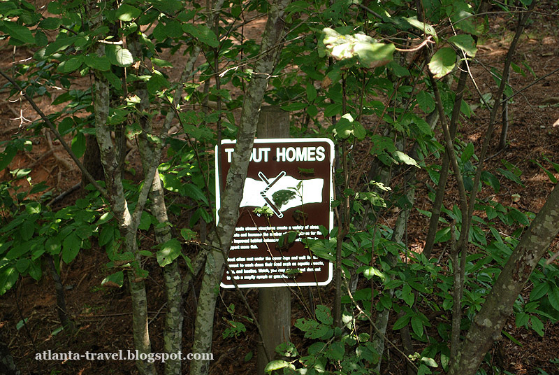 Водопад в парке Amicalola Falls State Park