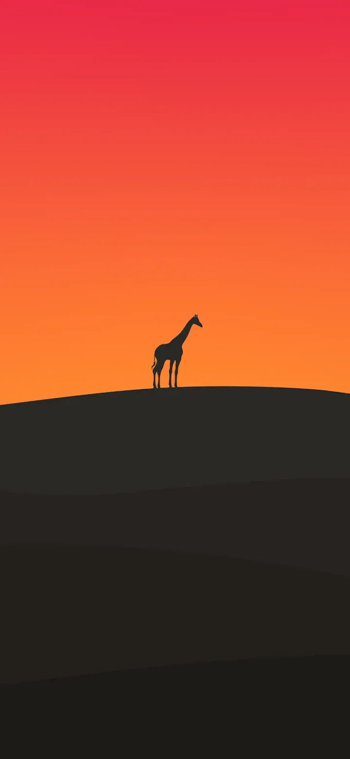 minimalist-iphone-wallpaper-giraffe