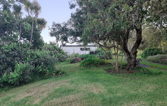 View towards the vegetable garden