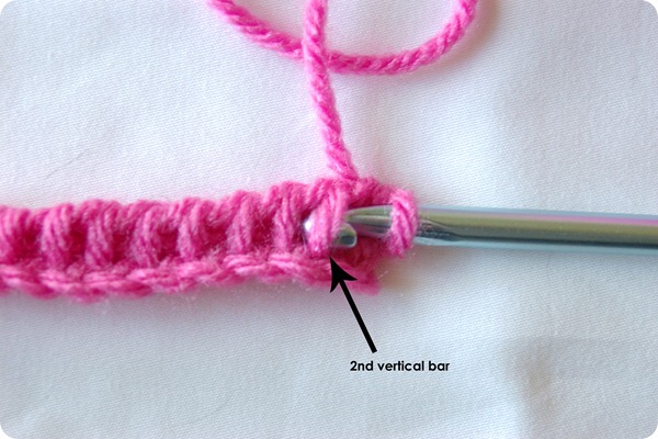 IMGP3692 edit verticle bar