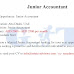 Junior Accountant | Dubai | 2/8/2024