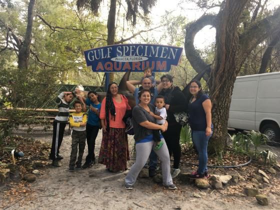 bohemian babushka marine lab wakulla county florida