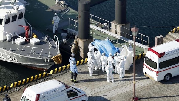 Ada 78 WNI di Kapal Pesiar yang Dikarantina Jepang karena Virus Corona