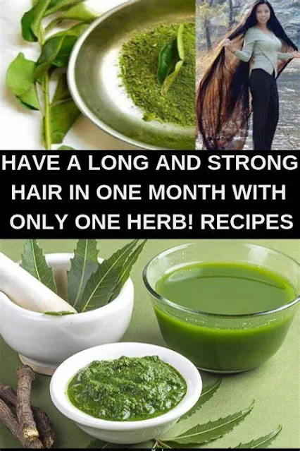 Get Long And Strong Hair In One Month With One Herb (RECIPES)!