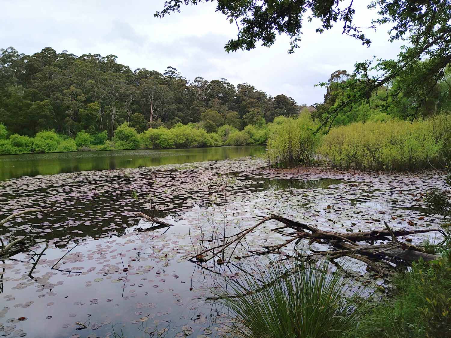 Lake Jubilee Daylesford