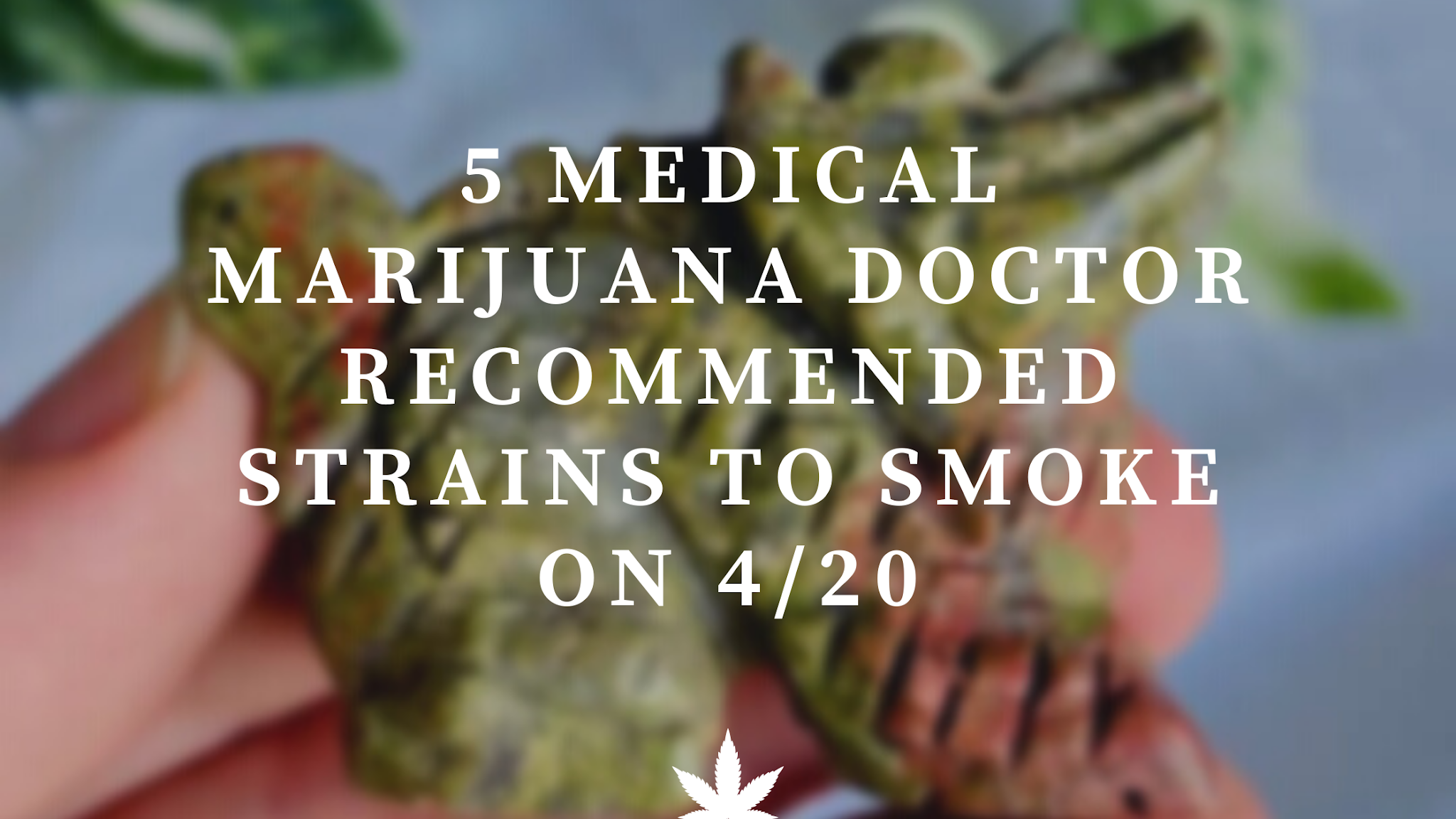 Medical Marijuana Doctor Recommended Strains To Smoke