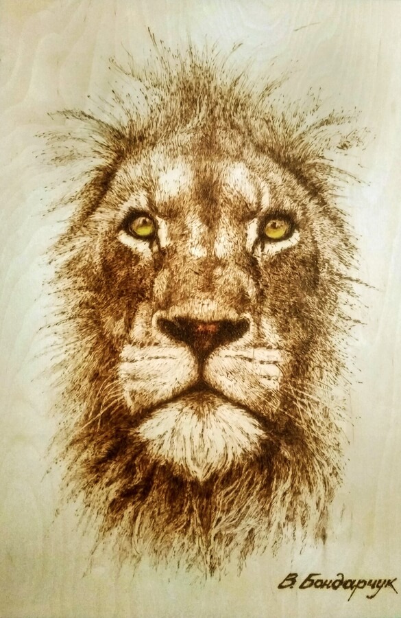 07-The-focused-lion-Pyrography-Drawings-Bondarchuk-www-designstack-co