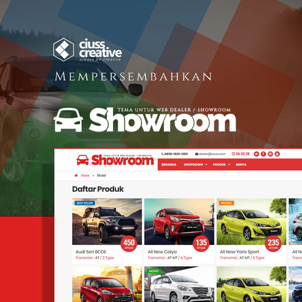 Website Dealer/Showroom