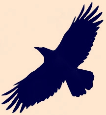 amazing-and-unbelievable-facts-about-Crow