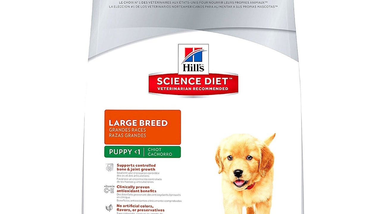 Science Diet Lamb And Rice Large Breed