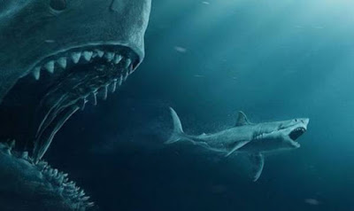 Lo squalo Megalodon è ancora là fuori?