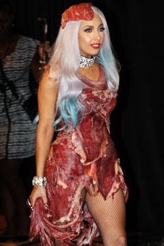 Celebrity Costume on Lady Gaga Costume   Celebrity Pictures