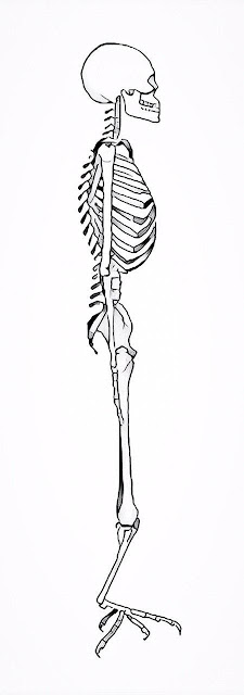 Lilitu's Skeleton