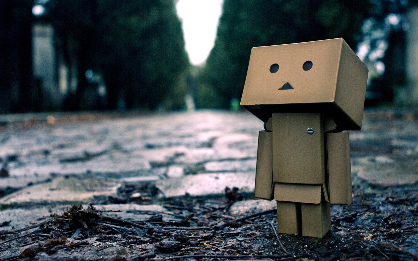 Trending Hari Ini Gambar Wallpaper Danbo HD Lucu Terbaru