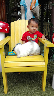 low budget travel, dusun bambu, rabbit wonderland