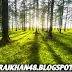 Amazing and wondering facts about Forest