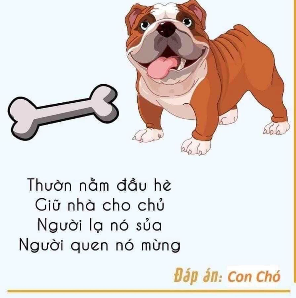 Đáp án con chó