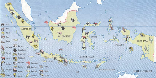 Peta Persebaran Flora  Dan  Fauna  Di  Indonesia  Foto Bugil 