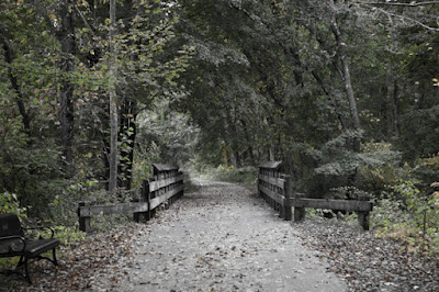 Wooden Bridge_7811 Photo Print