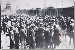12 Birkenau le tri