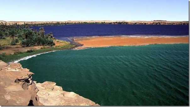 O paraiso no deserto do Saara (9)