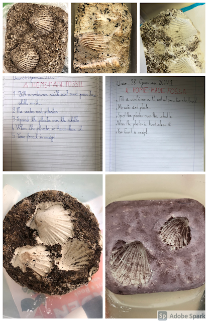 "A home made fossil” - “Science Clil” - classe 3 A  - scuola primaria - Ambrosini