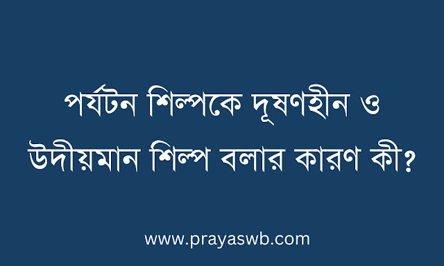 পর্যটন শিল্পকে দূষণহীন ও উদীয়মান শিল্প বলার কারণ কী