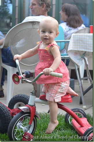 DSC_0142 DSC_0142