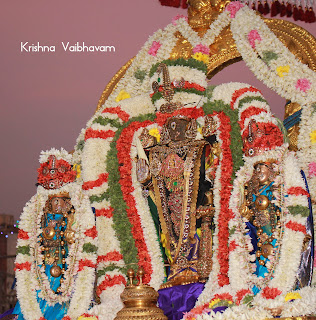 Raapathu Utsavam, Day 10,Adhyana Utsavam,Nammazhwar,Dharisanam, Sri PArthasarathy Perumal, Perumal, Venkata Krishna , Varushotsavam, 2018, Video, Divya Prabhandam,Triplicane,Thiruvallikeni,Utsavam,