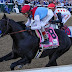 Highly Subsidized US Industries: Horse Racing