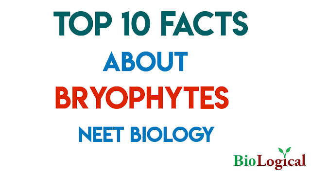 Top 10 facts about Bryophytes! NEET | NTA NEET | NEET UG EXAM | BioLogical 