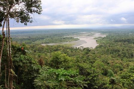 La Biodiversidad En El Sur Amazonico De Ecuador En Peligro Ante