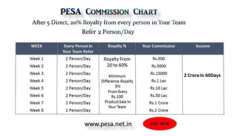 Pesa marketing company dwara banaye gaye income chart ke according aap 60 days me 2 Crore Earning kar sakte ho-see income chart of pesa marketing