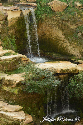 Volière Amérique du Sud, Bioparc Doué-la-Fontaine