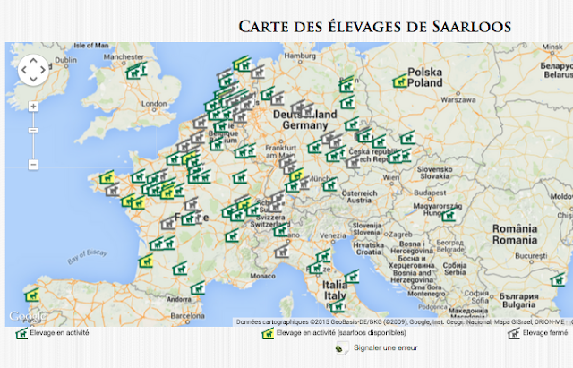 Une carte interactive signale l’état de pollution ...