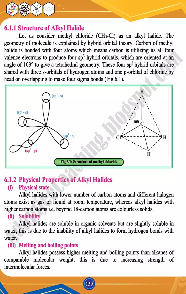 alkyl-halides-and-amines-chemistry-class-12th-text-book