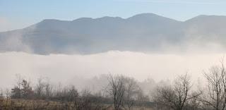 The Parents' hotel is somewhere in there