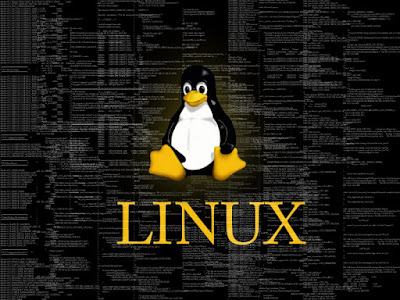 Terminal Linux