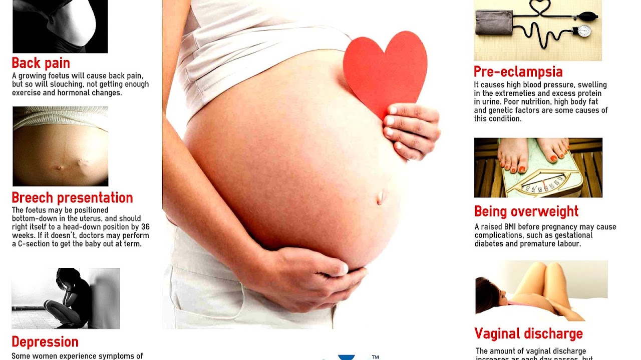 Protein In Urine Pregnancy