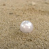Pearl Fisheries Ordinance 