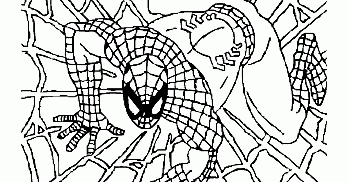 Mewarnai  Gambar  Spiderman Di Atas Jaring Laba Laba 