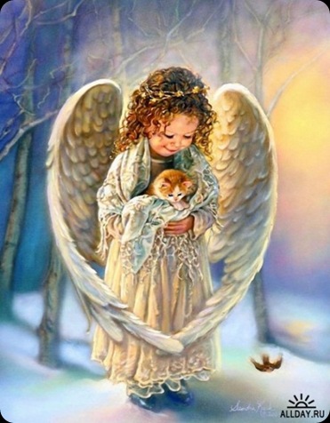 ElTambienAngelNia7