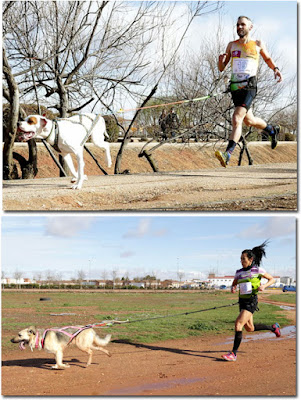 Canicross Aranjuez